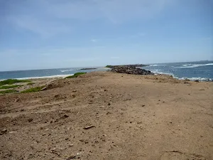 Spoon Rocks Spit near Caves Beach