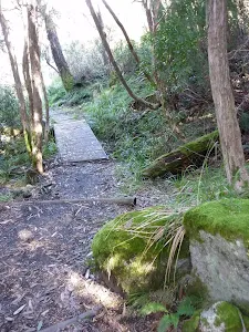 Walking along the Meadows Nature Track