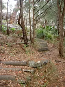 Resolute Beach Track