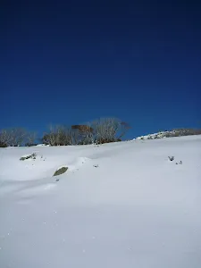 A chance for first tracks