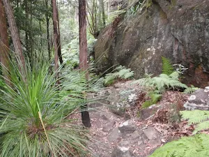 Track past rocky outcrop