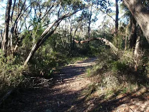 Along the Willunga track