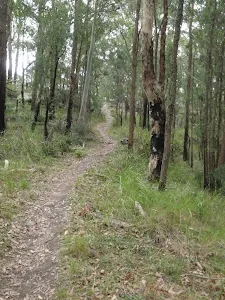 Walking along the ridge