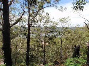 Sid Pulsford Walk lookout