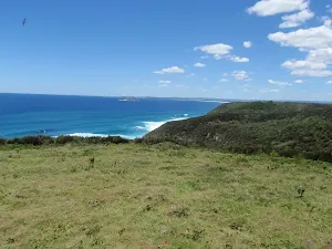 Wybung Whale Watching Area 