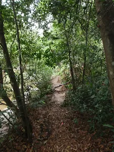 track on middle Harbour creek