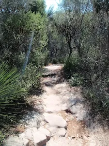 Manly to Spit trail