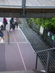 Scenic Railway going up