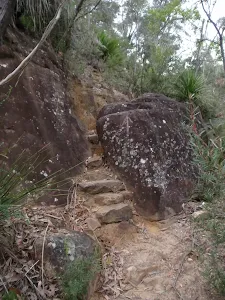 track between rocks