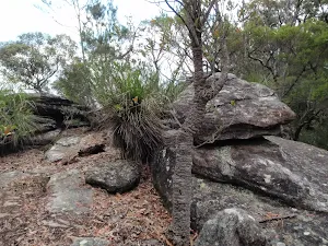 Lovely outcrop