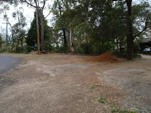 Track to Ross Cres