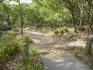 Track and timber sign in Green Point Reserve on Lake Macquarie