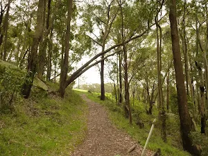 Track leading to Mt Sugarloaf car park