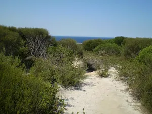 Nearing Bundeena Lookout