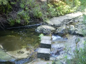 Crossing Lillian's Glen