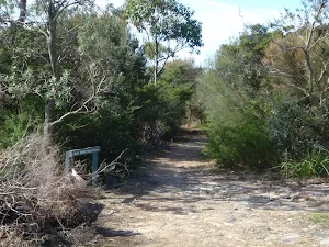 Track to disappearing guns