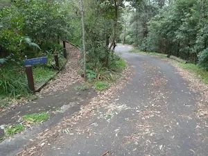 Road into Fairy Dell