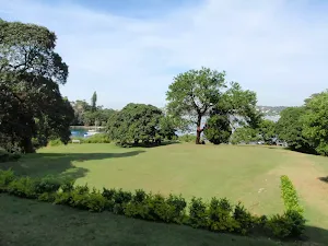 Back yard of Strickland House