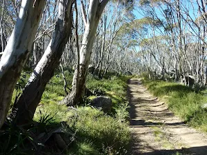 Cascade Trail