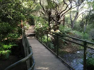 Crossing the Leura Cascades creek