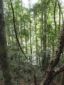 Glimpse of Seymour Pond from  Waterman walk