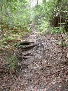 Track to Little Beach