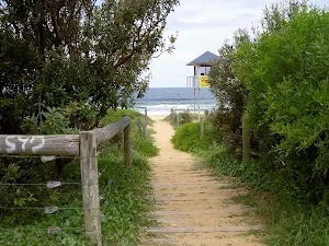 Putty Beach access from carpark