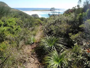 Track near Timber Beach