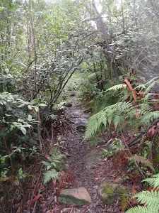 Victory Track leading down to Clarinda Falls