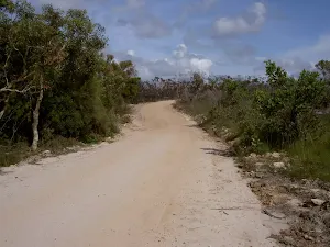 The Basin Track to Aboriginal Engravings