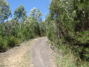 Heading up the service trail