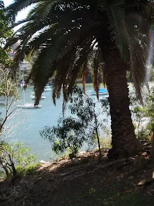 View from track to Sirius Cove