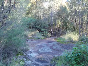 Small rock outcrops on the track