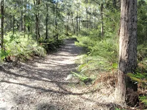 Walking along the trail