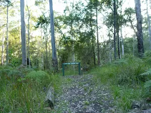 Looking at the  junction of Lyrebird and Rock Lilly Trails