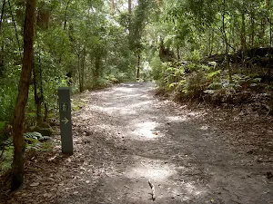 Little Beach service trail