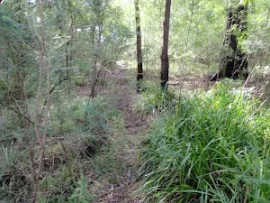 Machins Crater near the road