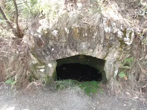 Old water trough
