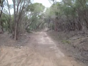 Track to Hobart Beach camping area