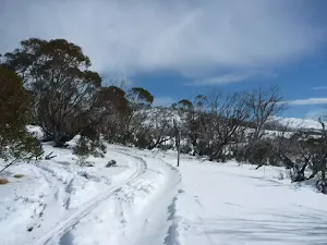 Nearing the power line terminus