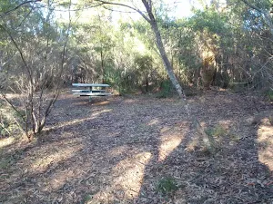 Salvation picnic area
