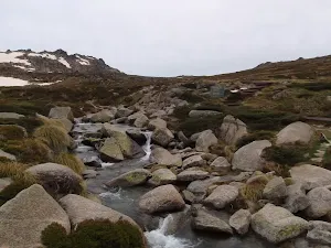 looking up river