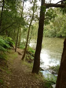 Galston Gorge to Berowra Station
