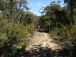 St Helena ridge