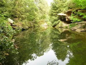 Fishponds