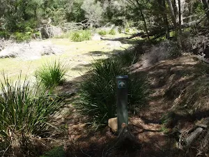 Track across Sandy Beach Ck