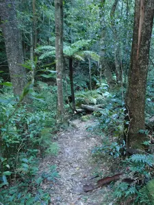 Track down Rodriguez Pass