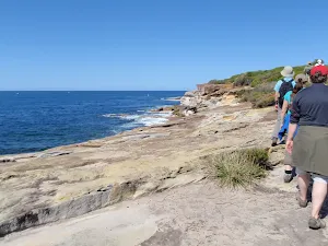 View along Jibbon Head