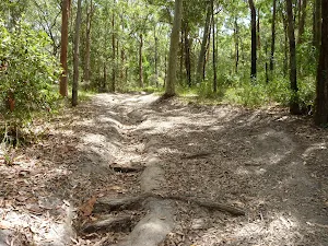 Steep eroded trail on the Wallarah Pennisula