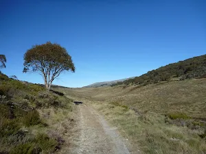 Cascade Trail